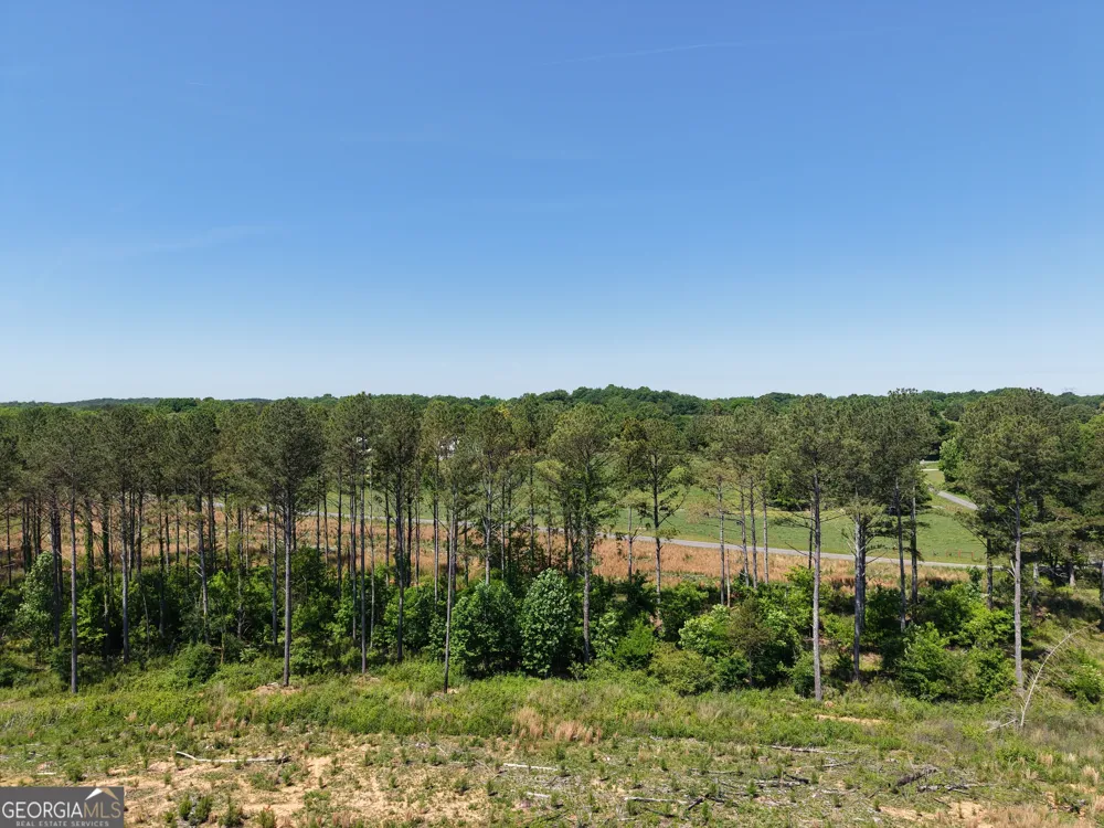 0 Bishop Loop RD Rydal, GA 30171