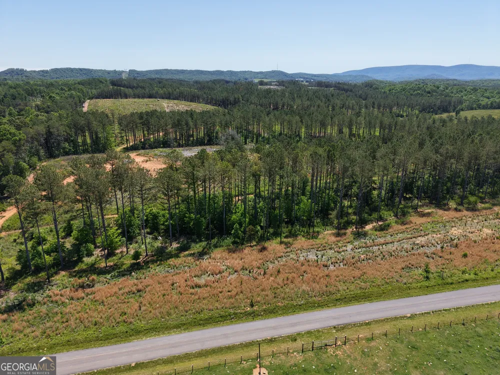 0 Bishop Loop RD Rydal, GA 30171