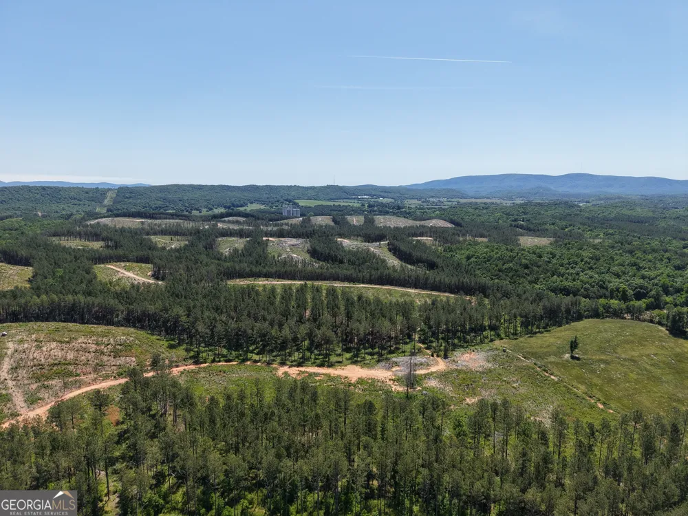 0 Bishop Loop RD Rydal, GA 30171