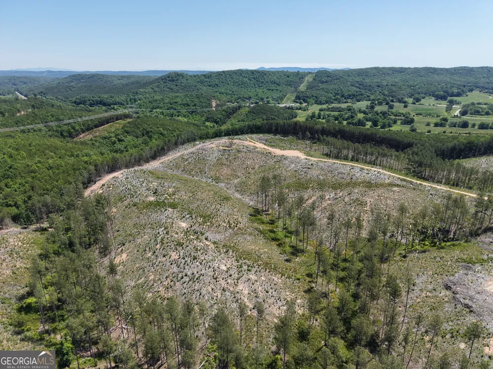 0 Bishop Loop RD Rydal, GA 30171