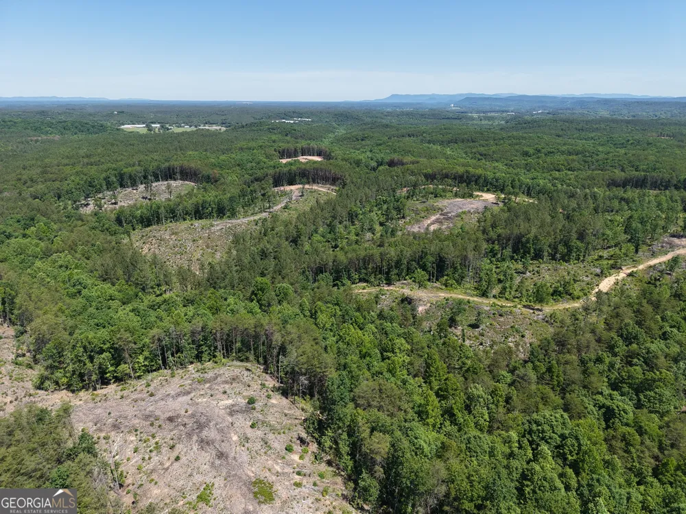 0 Bishop Loop RD Rydal, GA 30171