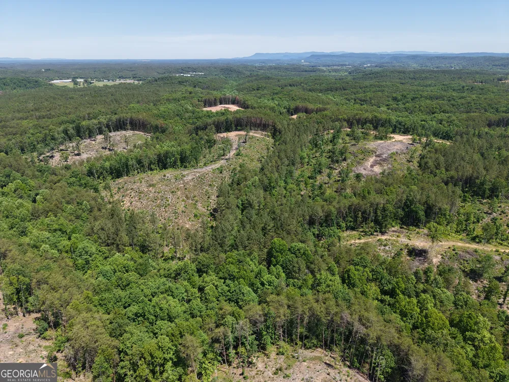 0 Bishop Loop RD Rydal, GA 30171