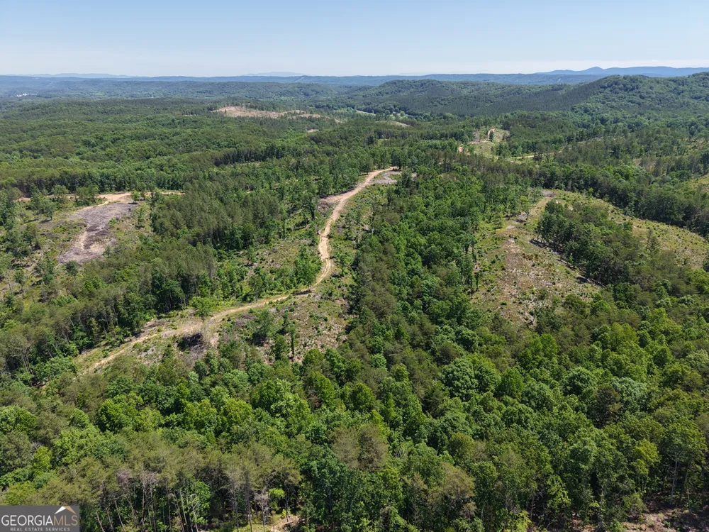 0 Bishop Loop RD Rydal, GA 30171