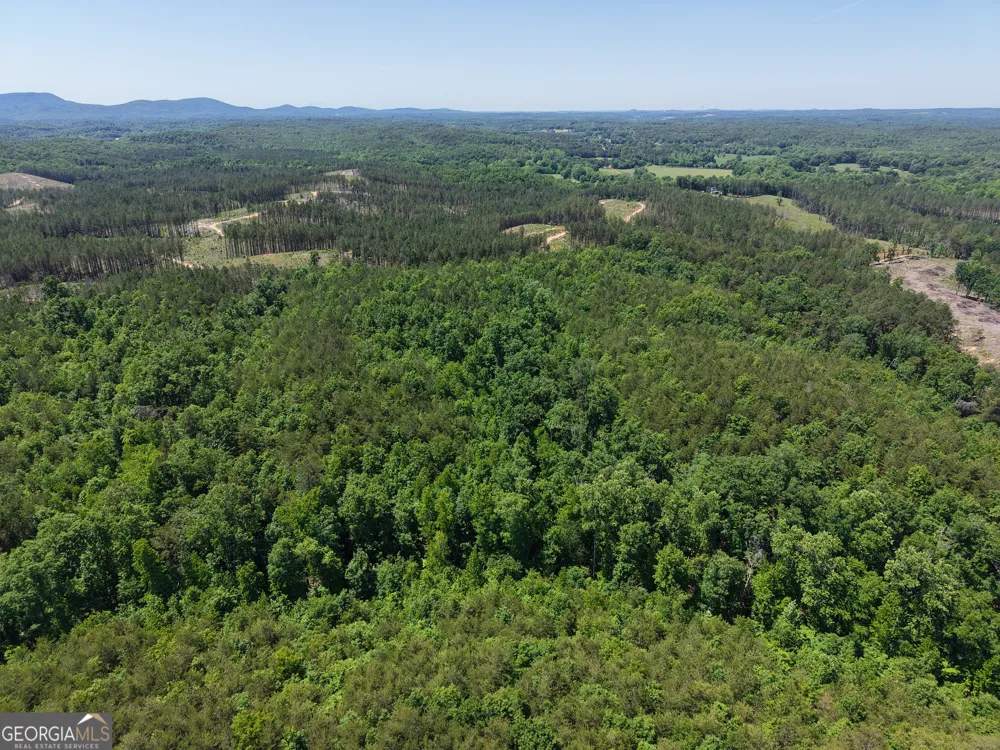 0 Bishop Loop RD Rydal, GA 30171