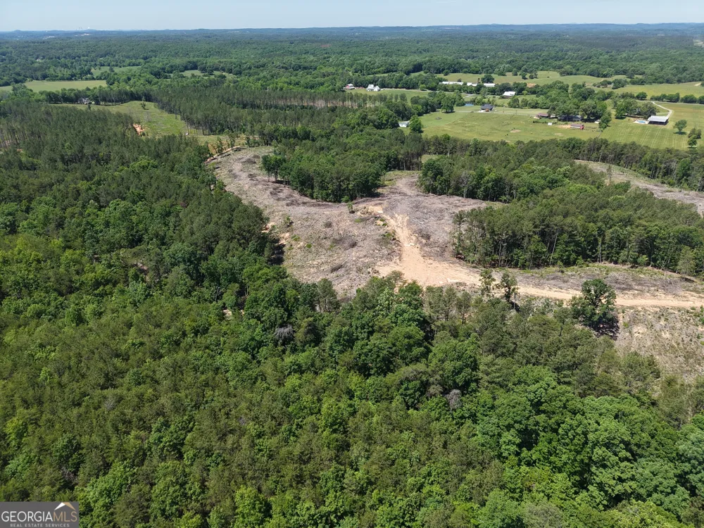 0 Bishop Loop RD Rydal, GA 30171