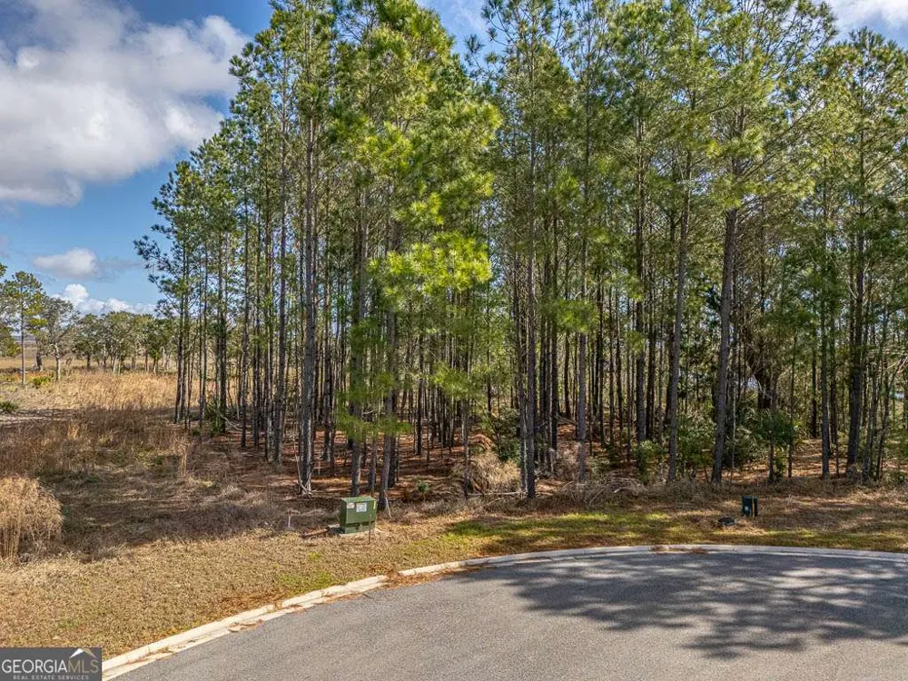 LOTS 121 & 122 Wards WAY Waverly, GA 31565