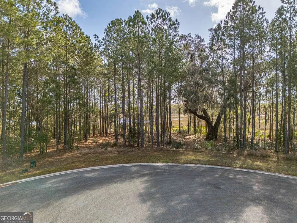 LOTS 121 & 122 Wards WAY Waverly, GA 31565