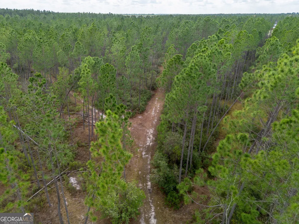 2110 Post RD Hazlehurst, GA 31539