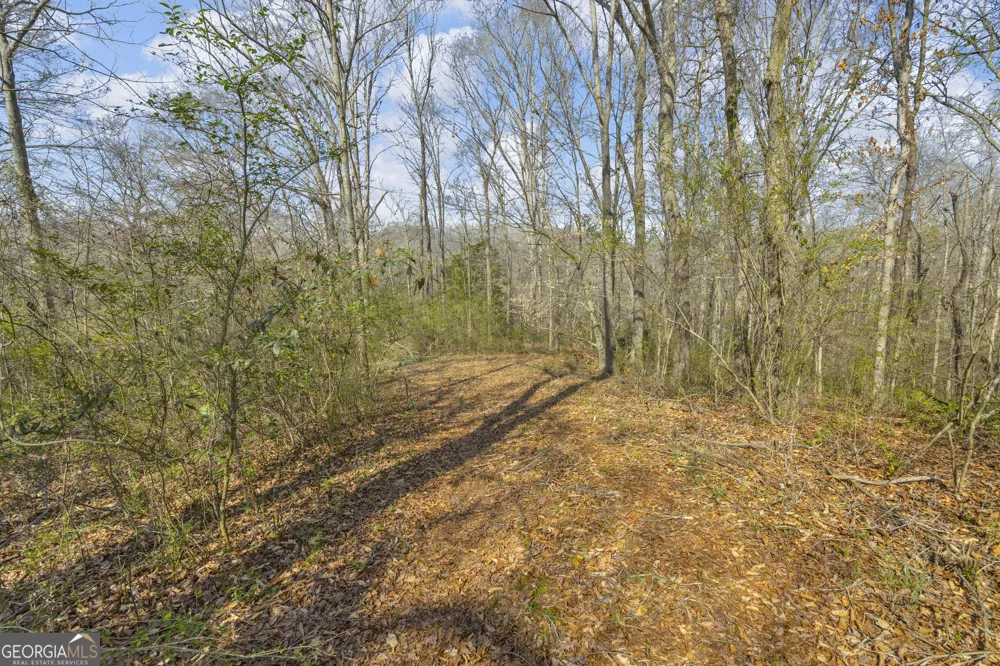 5354 Highway 29 Royston, GA 30662