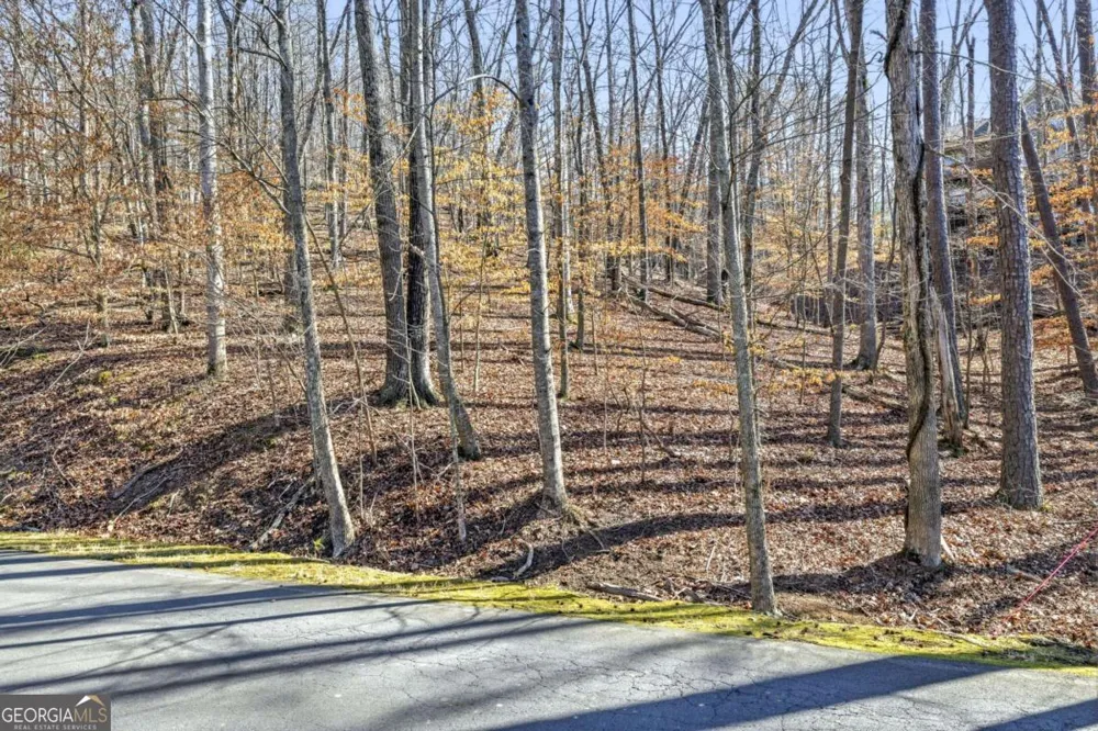 285 Hillside DR Waleska, GA 30183