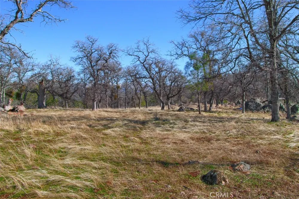 6894 State Highway 49 Mariposa, CA 95338
