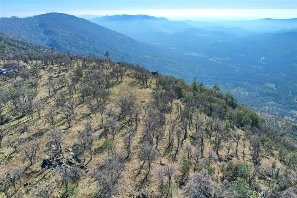6894 State Highway 49 Mariposa, CA 95338