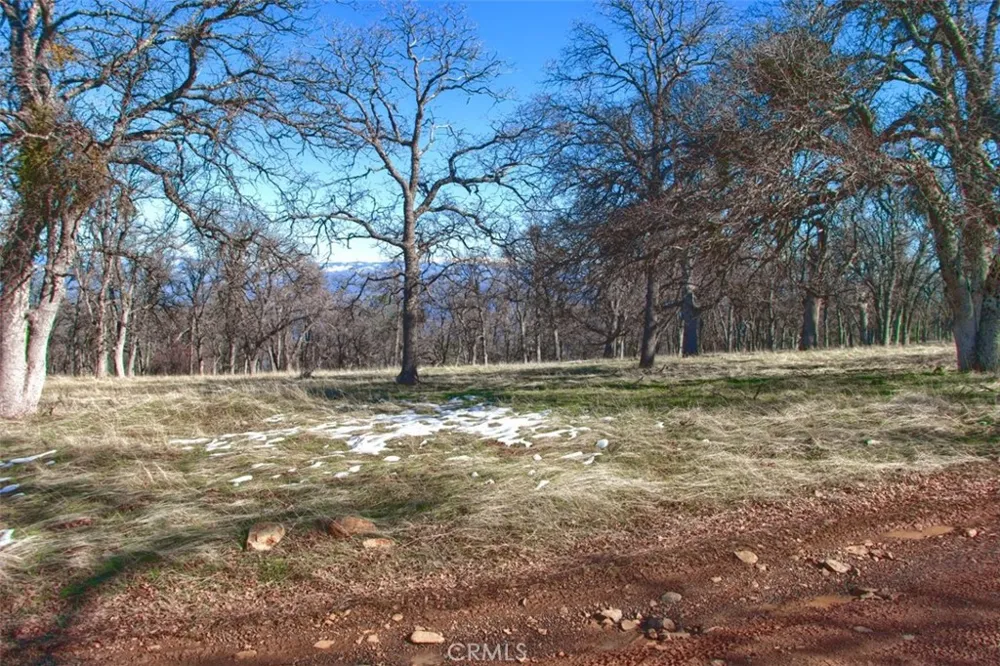 6894 State Highway 49 Mariposa, CA 95338