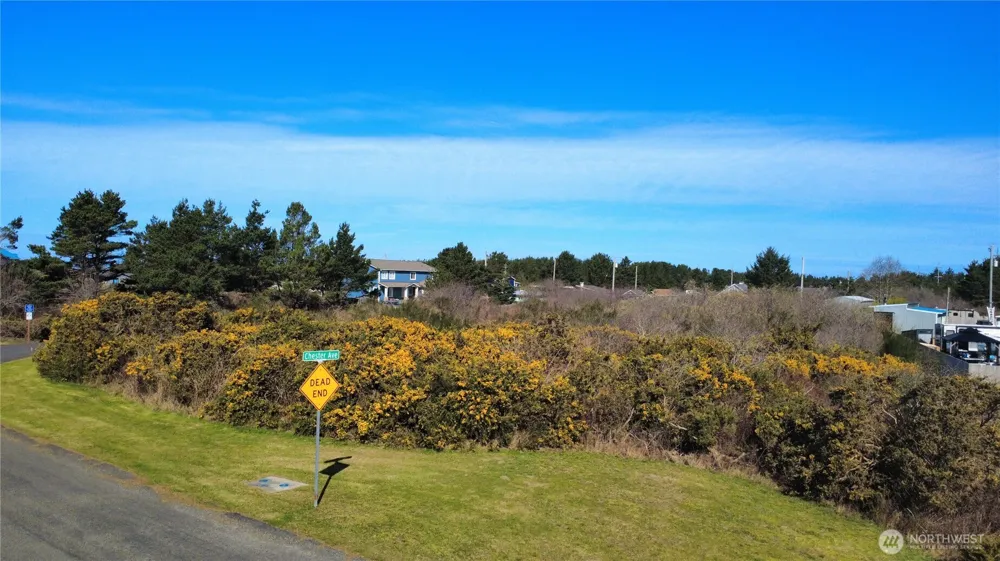 1 Francis Seamore Lane Grayland, WA 98547