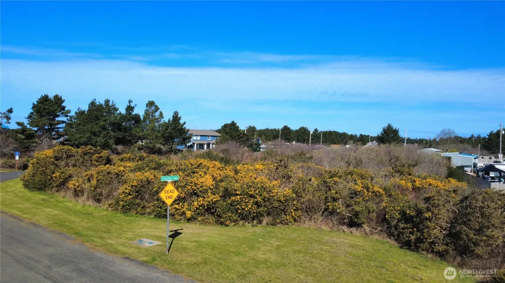 1 Francis Seamore Lane Grayland, WA 98547