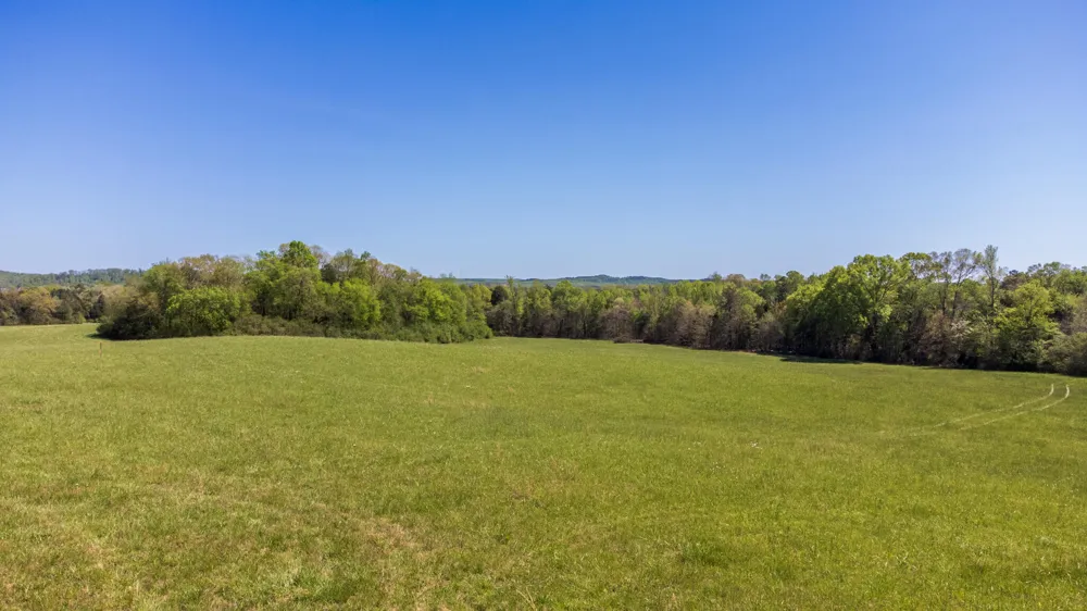 8509 Tennessee 68 Tellico Plains, TN 37385