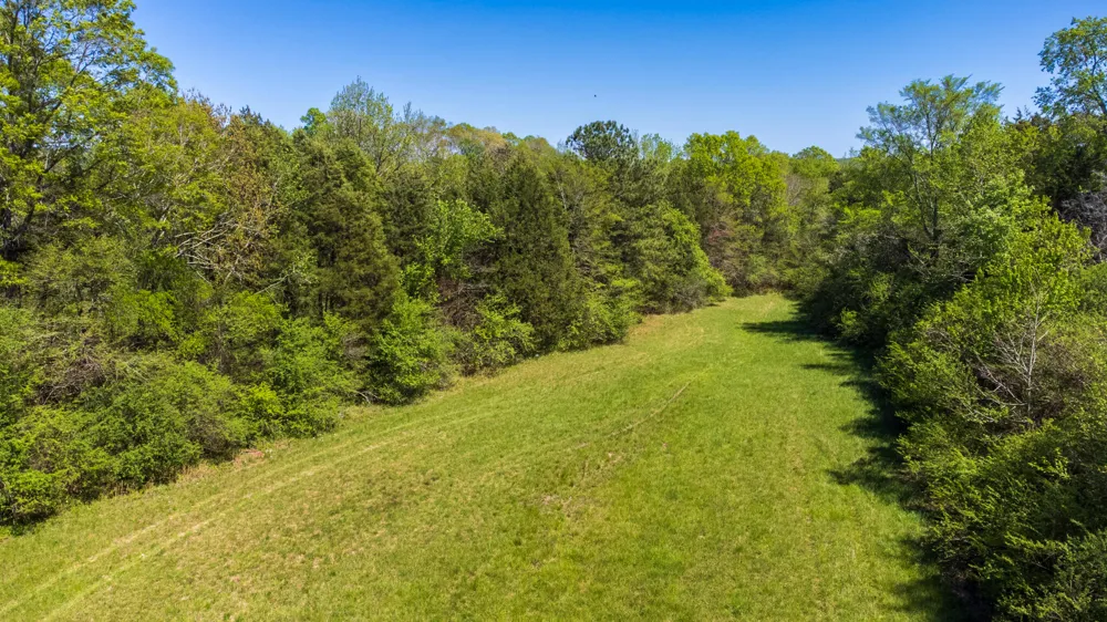 8509 Tennessee 68 Tellico Plains, TN 37385