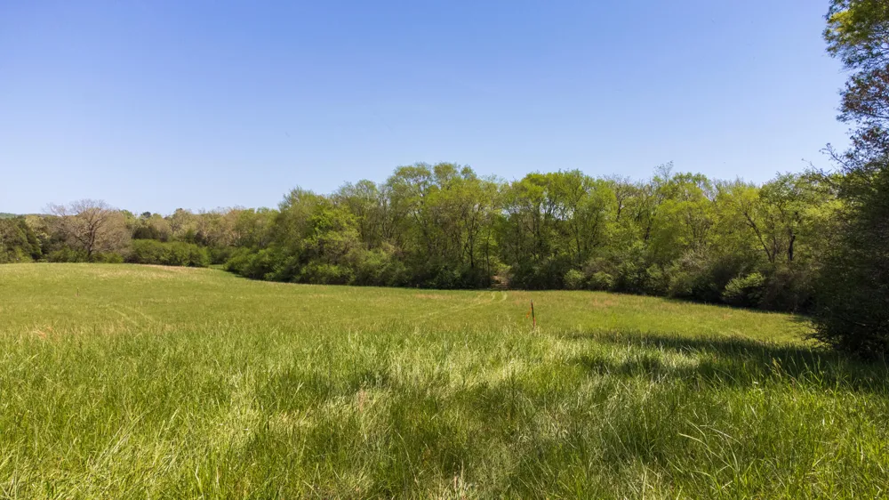 8509 Tennessee 68 Tellico Plains, TN 37385