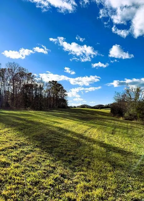 8509 Tennessee 68 Tellico Plains, TN 37385