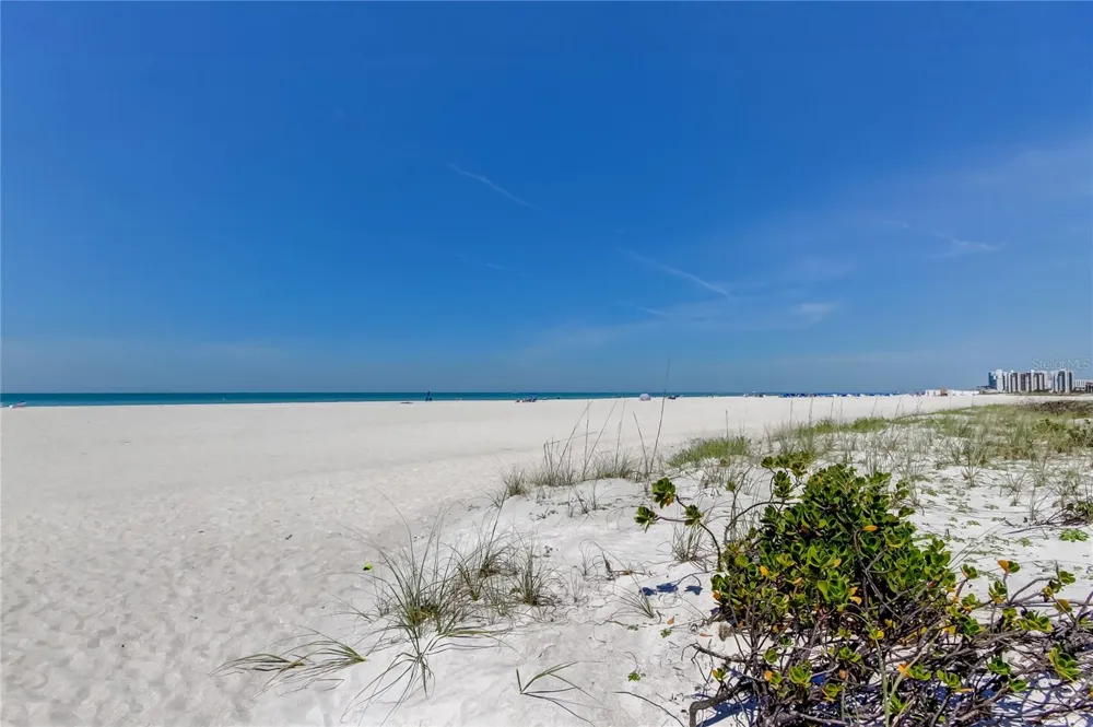 1200 GULF BOULEVARD #101 Clearwater Beach, FL 33767