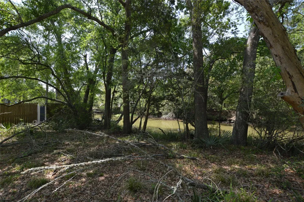 Bryant Lane League City, TX 77598