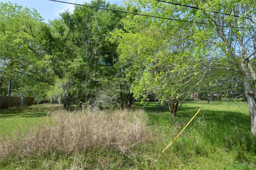 Bryant Lane League City, TX 77598