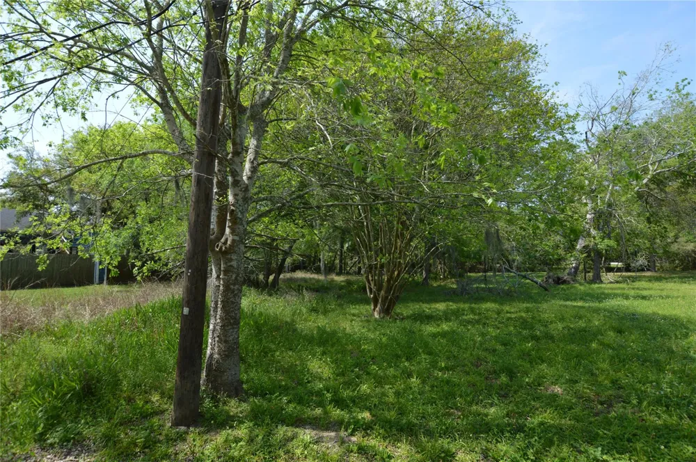 Bryant Lane League City, TX 77598
