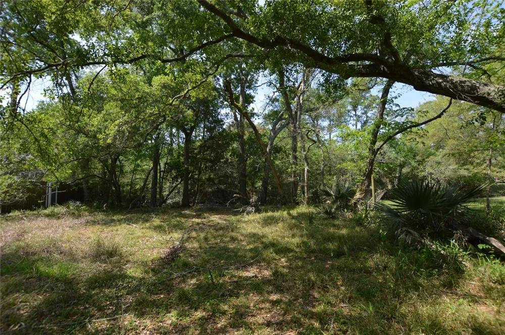 Bryant Lane League City, TX 77598