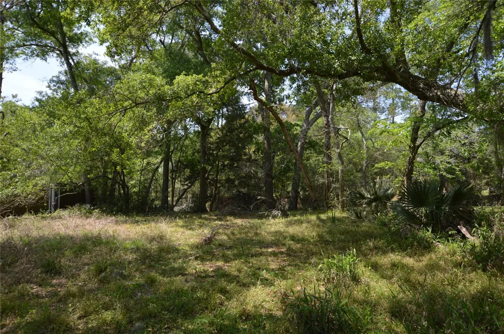 Bryant Lane League City, TX 77598