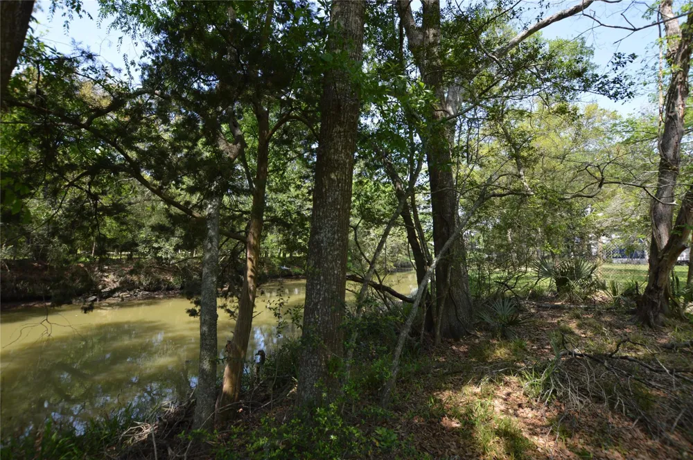 Bryant Lane League City, TX 77598