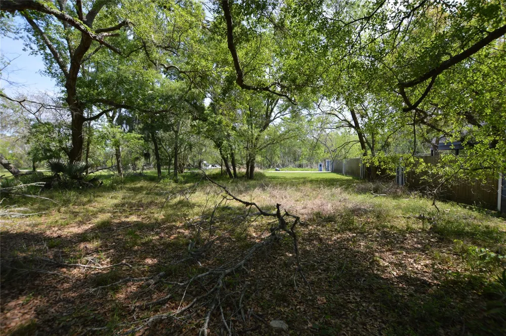 Bryant Lane League City, TX 77598