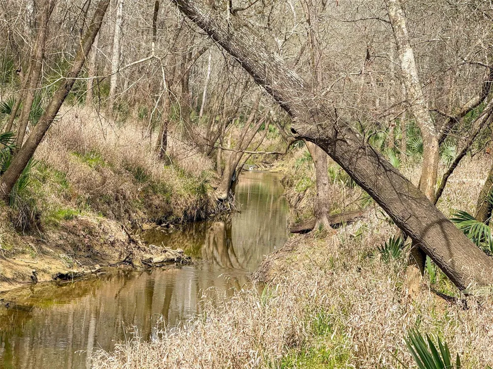 County Rd 4876 Dayton, TX 77535