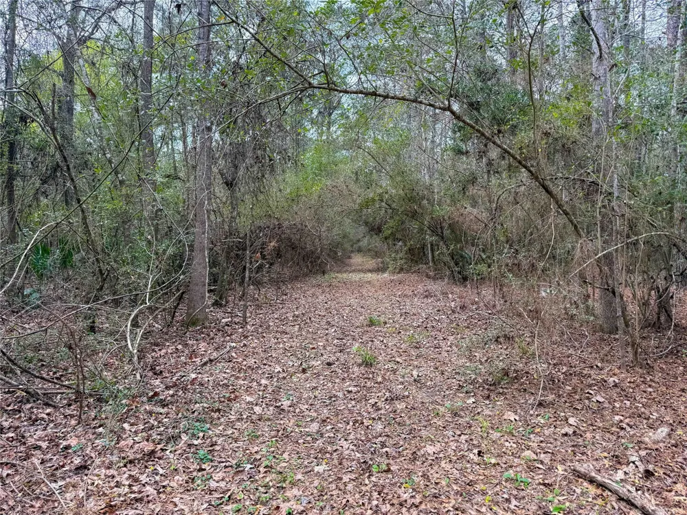 County Rd 4876 Dayton, TX 77535