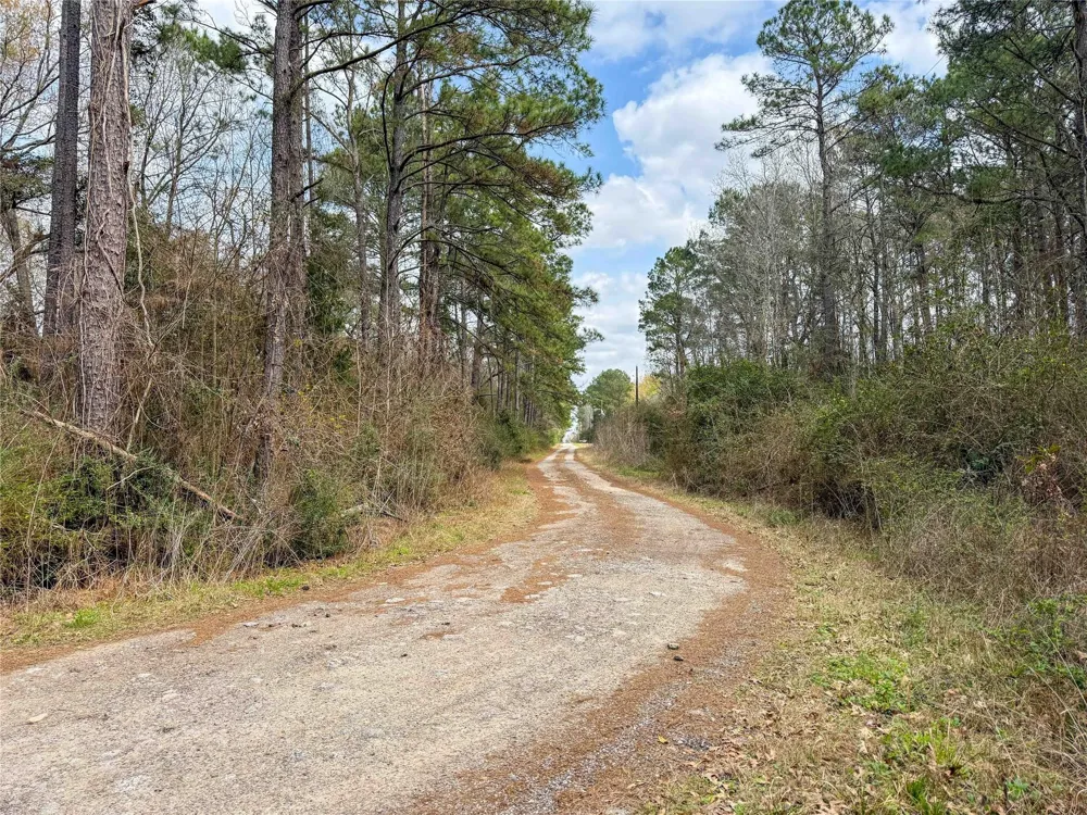 County Rd 4876 Dayton, TX 77535
