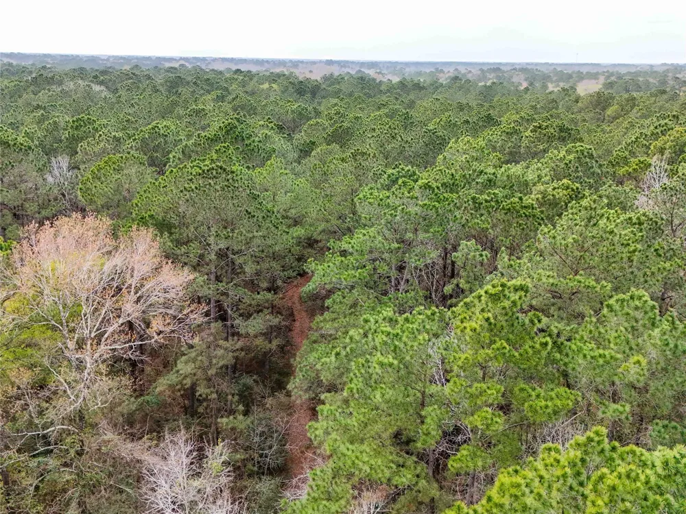 County Rd 4876 Dayton, TX 77535