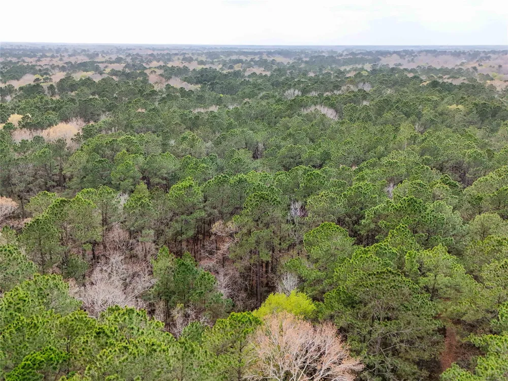 County Rd 4876 Dayton, TX 77535