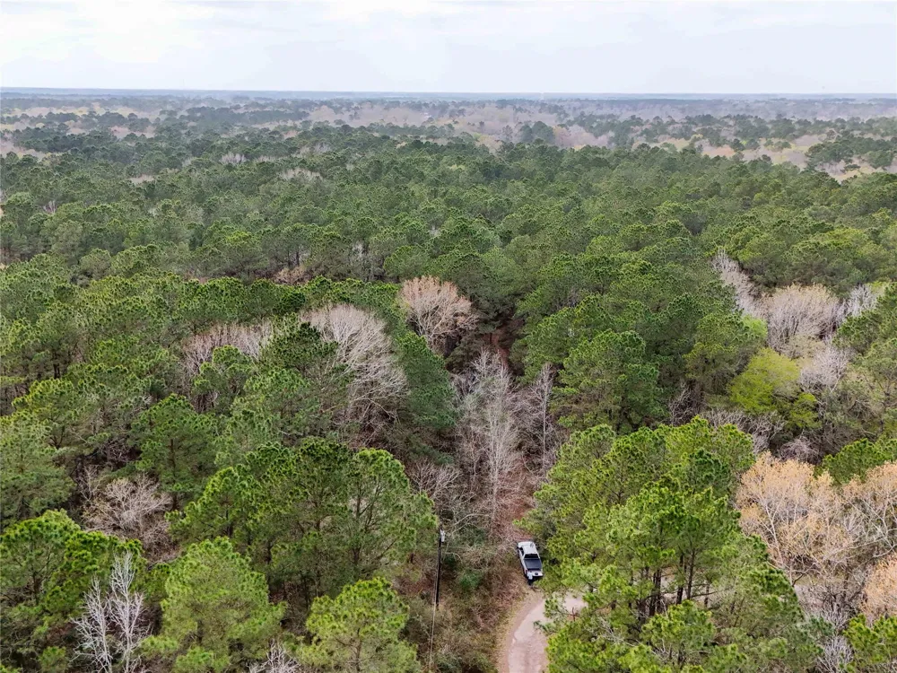 County Rd 4876 Dayton, TX 77535