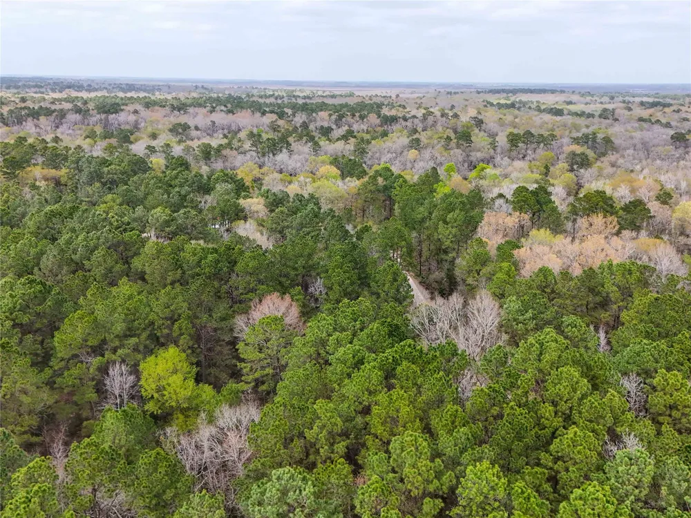 County Rd 4876 Dayton, TX 77535