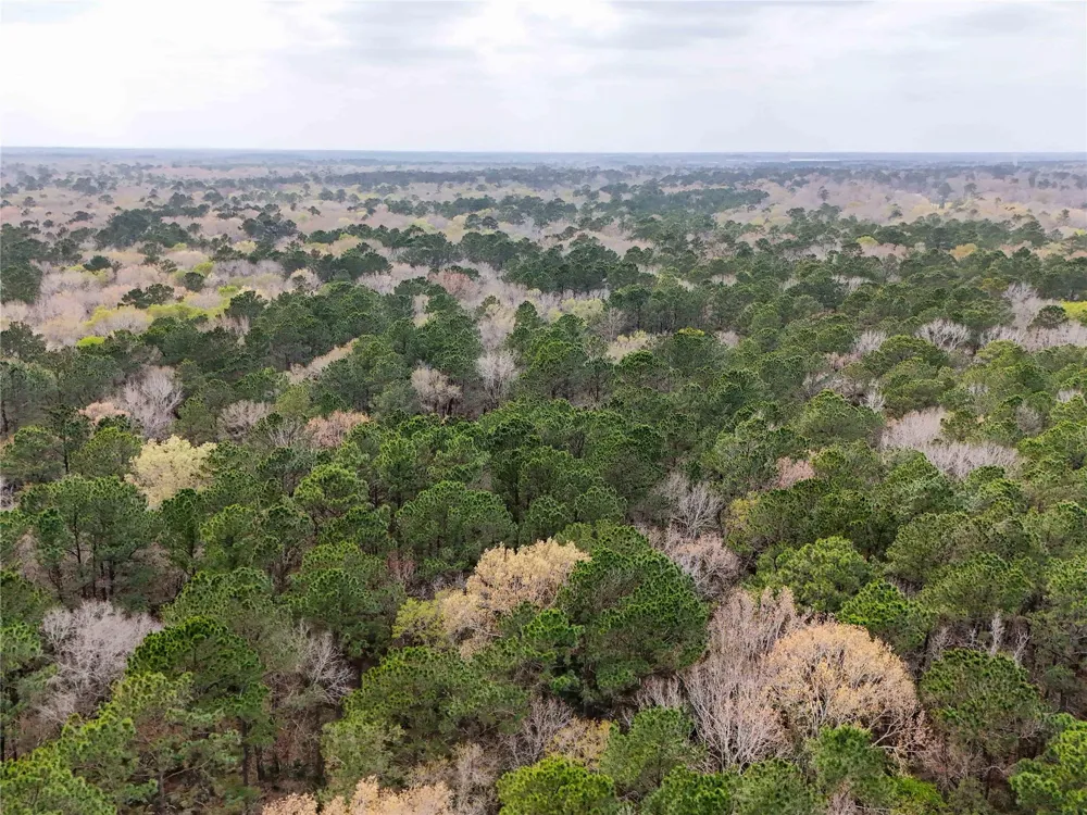 County Rd 4876 Dayton, TX 77535