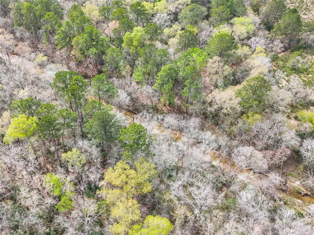County Rd 4876 Dayton, TX 77535