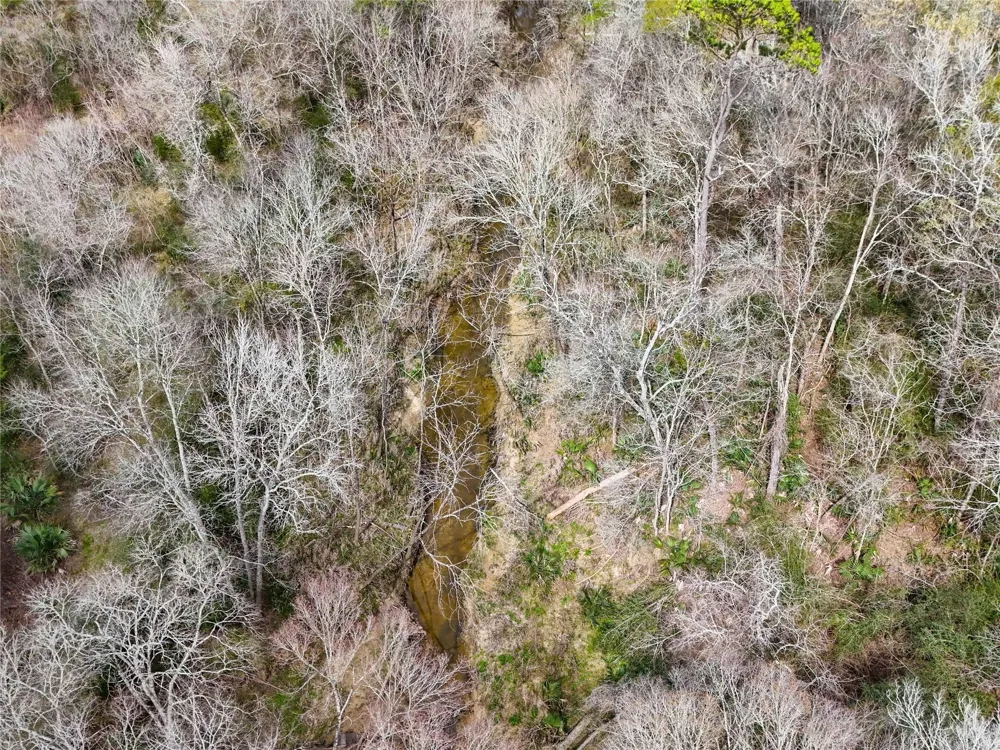 County Rd 4876 Dayton, TX 77535
