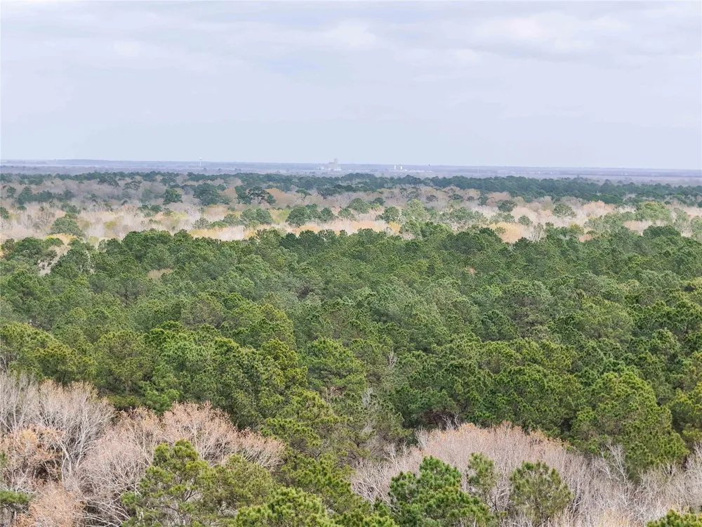 County Rd 4876 Dayton, TX 77535