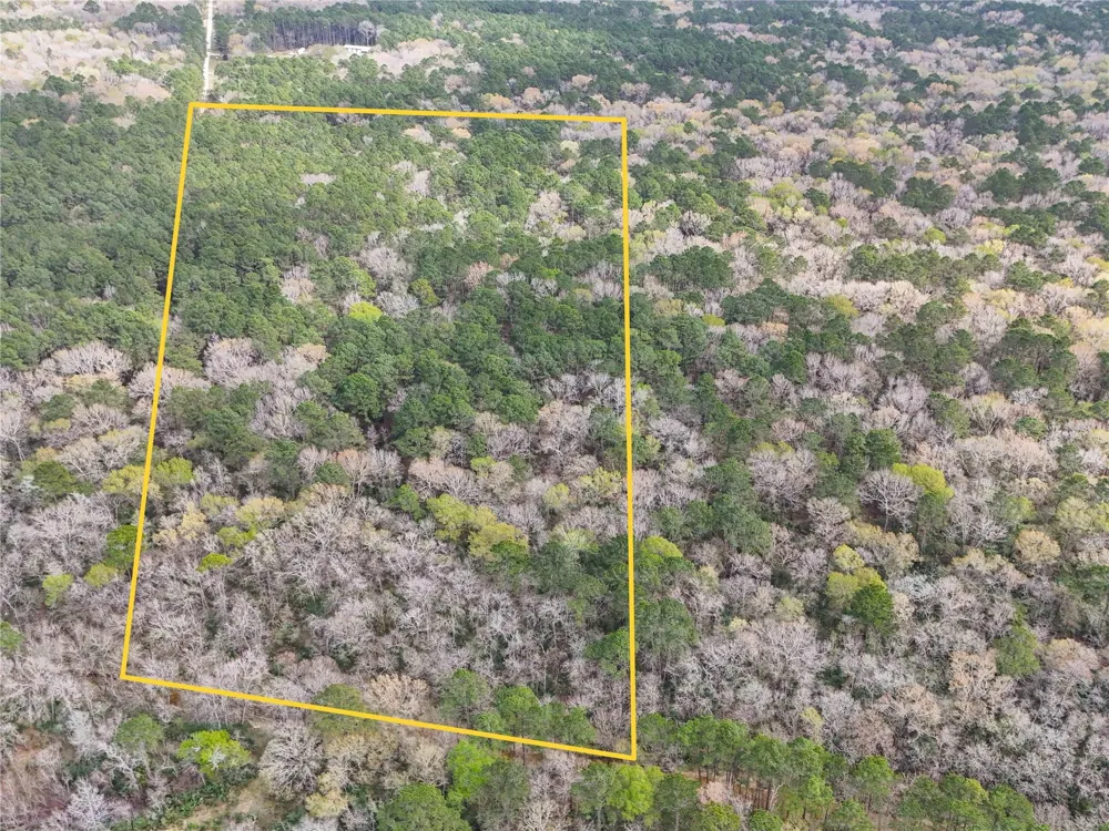 County Rd 4876 Dayton, TX 77535