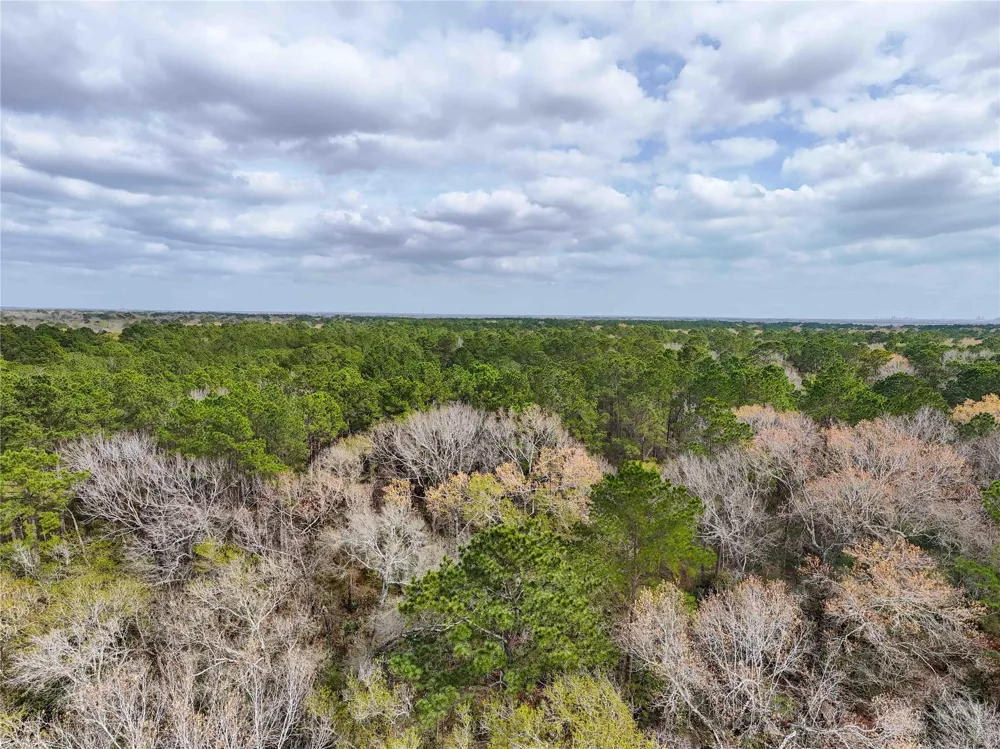 County Rd 4876 Dayton, TX 77535