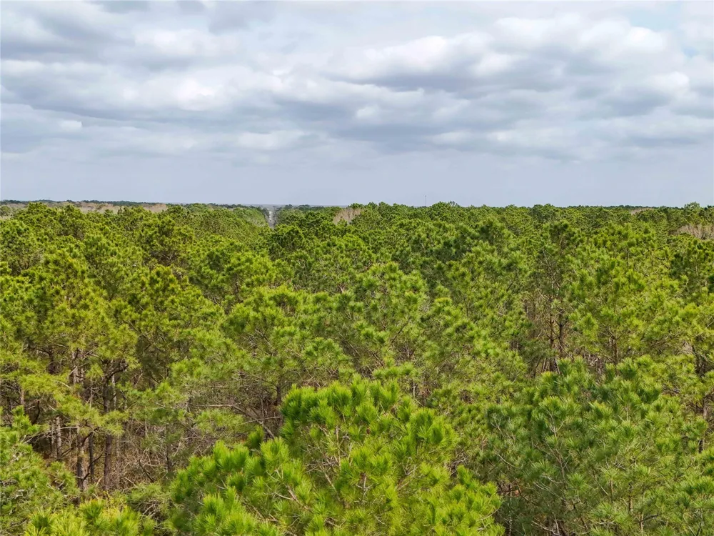 County Rd 4876 Dayton, TX 77535