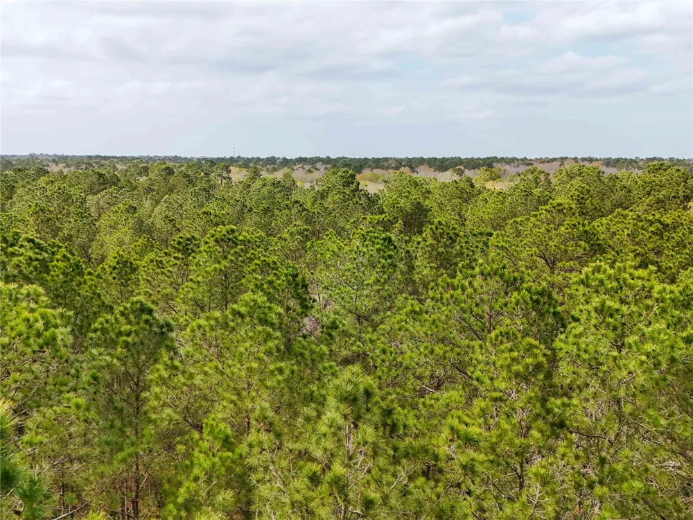 County Rd 4876 Dayton, TX 77535