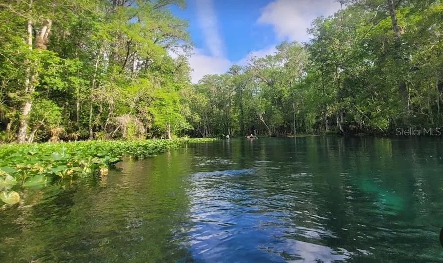 Lot 1 LOCUST PASS COURSE ocala, FL 34472