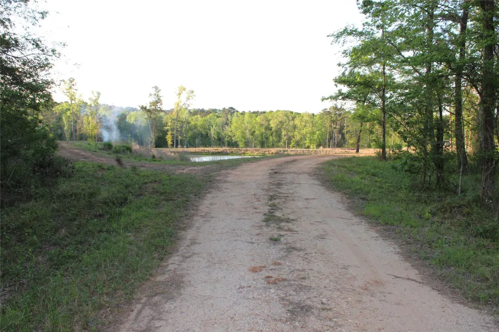 Harrell Road Coldspring, TX 77331