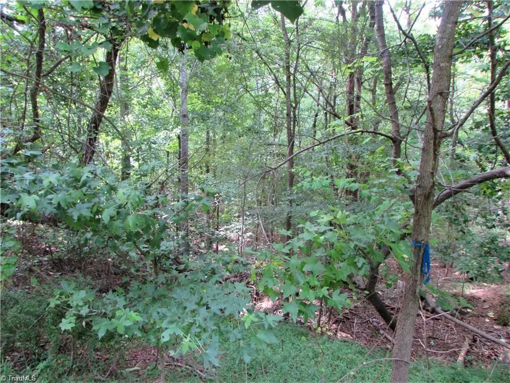 532 Rocky Cove Lane Denton, NC 27239