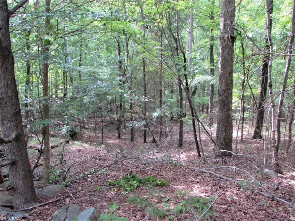 532 Rocky Cove Lane Denton, NC 27239